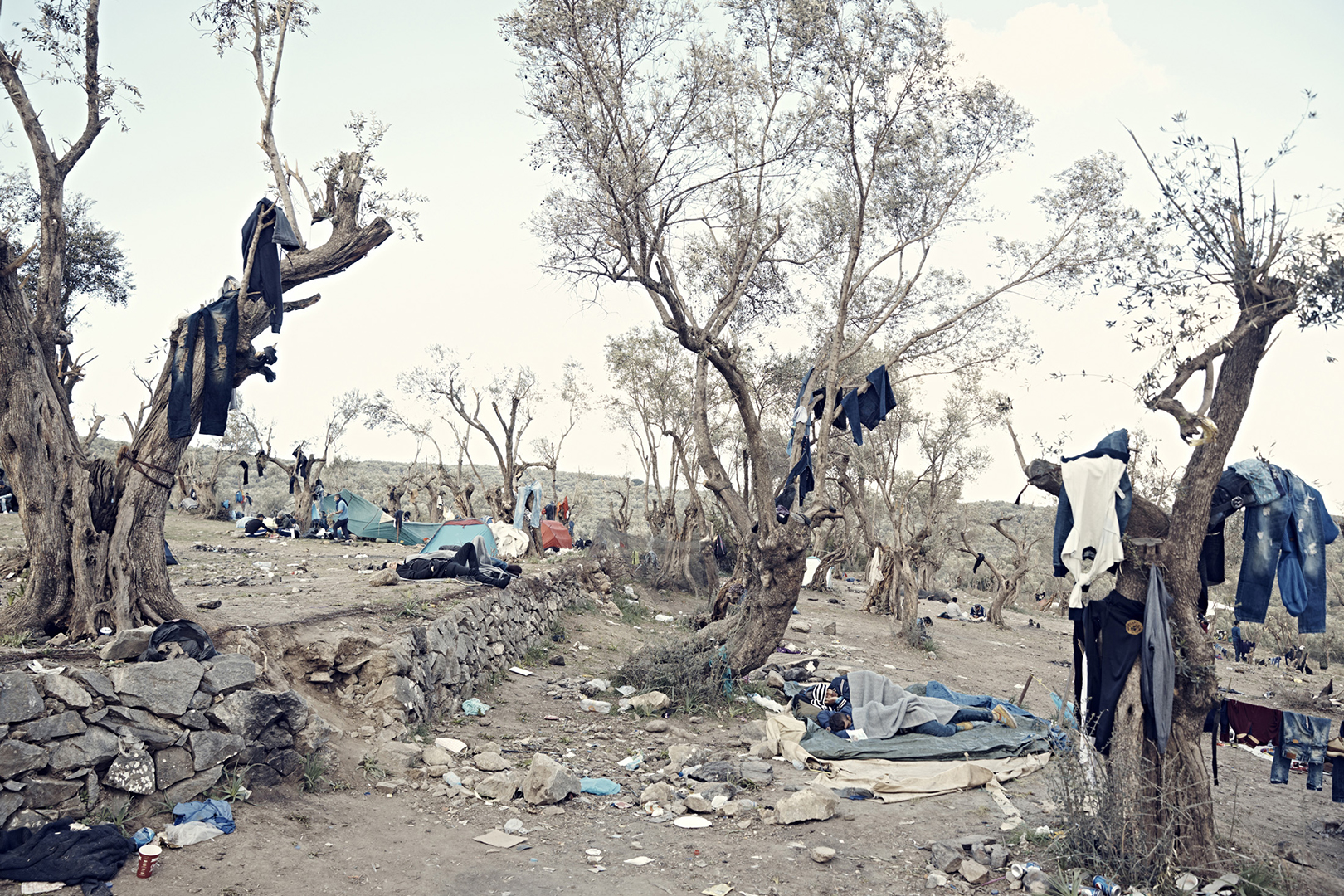 Refugees