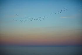Baikal – the blue miracle