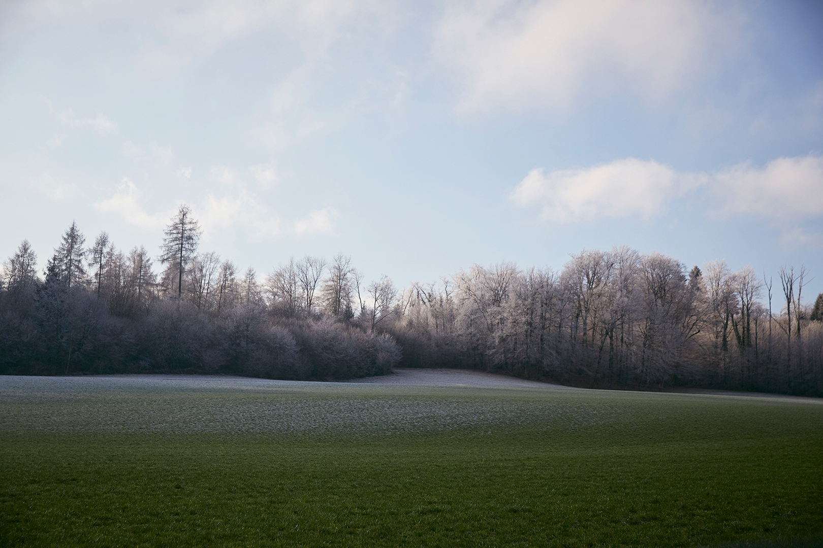 Schweizer Literaturpreise 2019