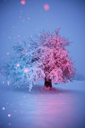 Discotrees